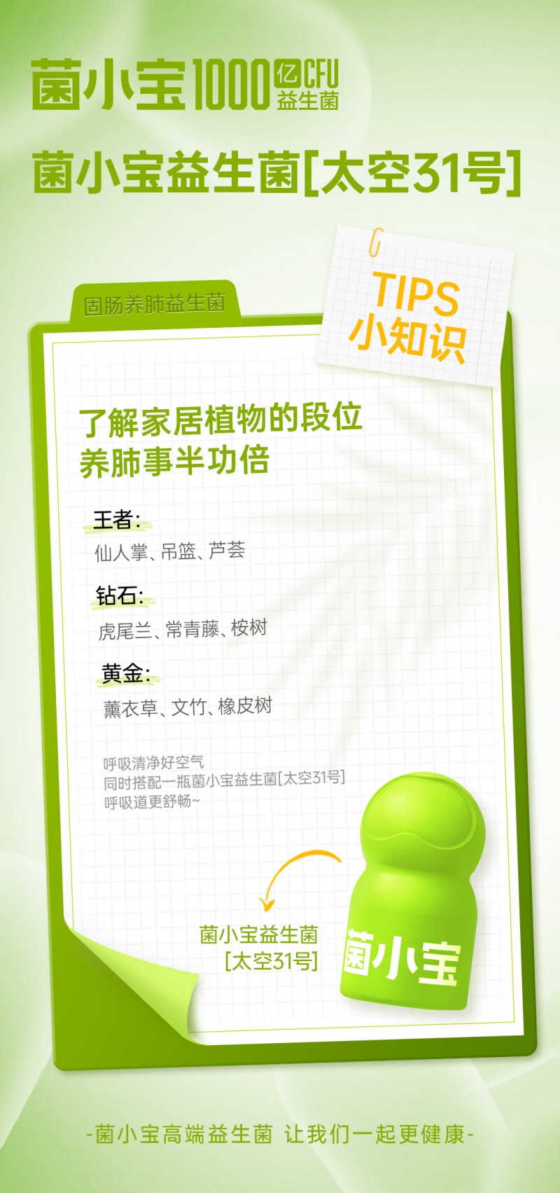 31tips长2.jpg